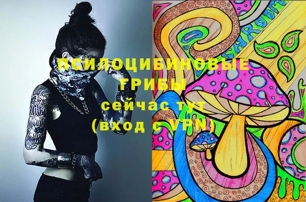 бошки Алексеевка