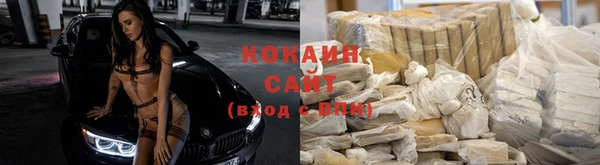 винт Алексин