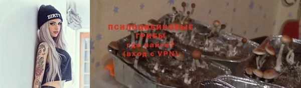 винт Алексин
