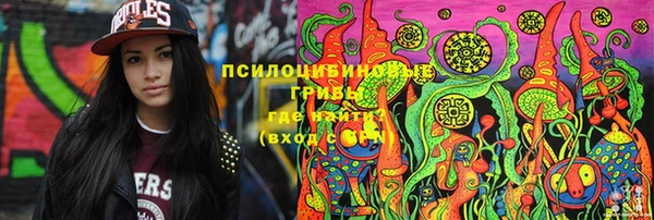 бошки Алексеевка